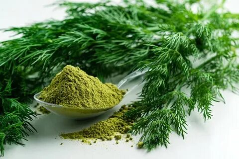 خرید نقدی شوید خشک اعلا + تخفیف ویژه